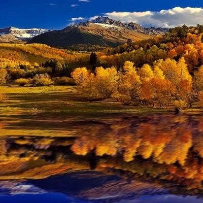 澳门4949资料免费大全app下载